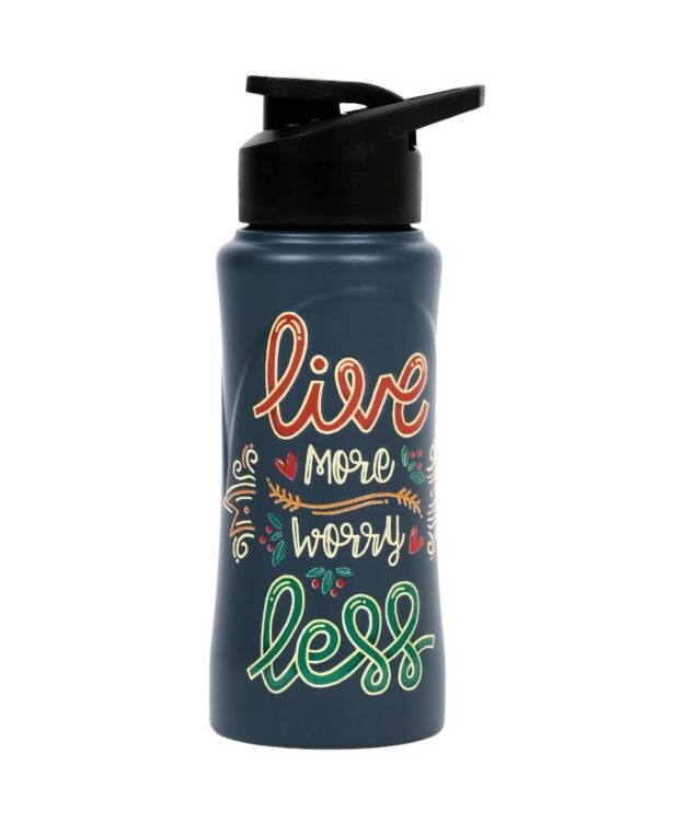 Voik Kiddo Live 500ml Stainless Steel Water Bottle